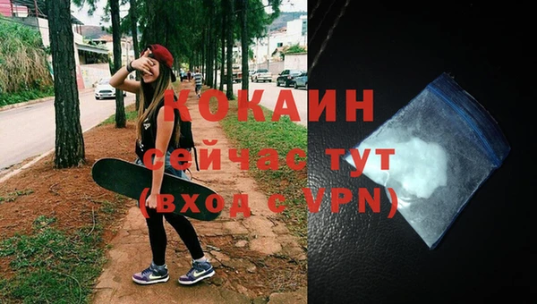 mix Богородицк