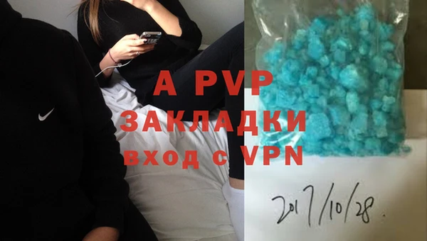 PSILOCYBIN Богданович