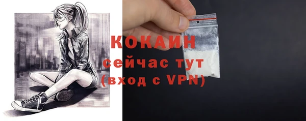 mix Богородицк