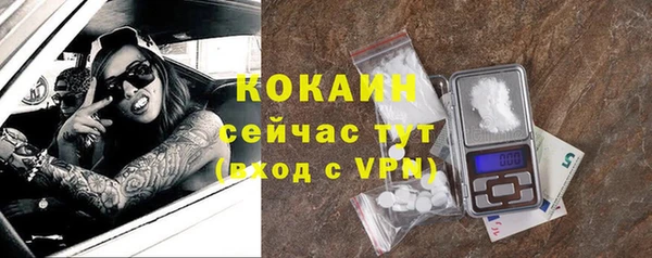mix Богородицк