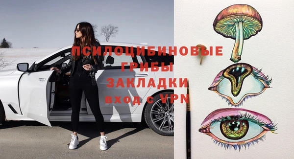 mix Богородицк