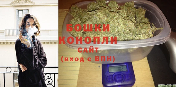 PSILOCYBIN Богданович
