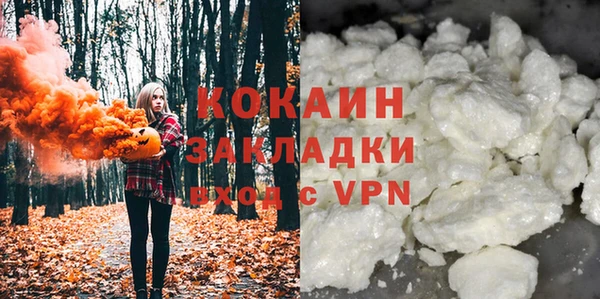 mix Богородицк