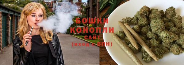 PSILOCYBIN Богданович